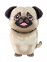 � ������ 26